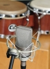 Mynd af Neumann TLM 103
