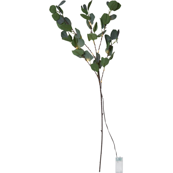 Mynd af Grein Eucalyptus 90 cm.