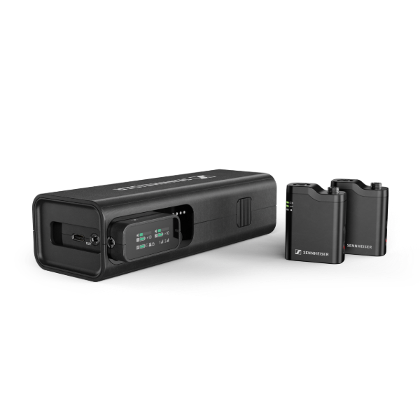 Mynd af Profile Wireless 2-channel