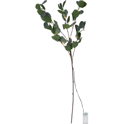 Mynd af Grein Eucalyptus 90 cm.